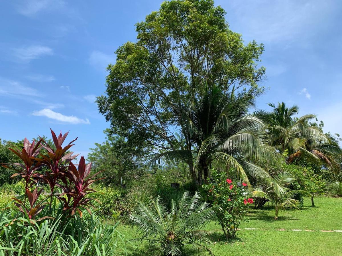 Lovely Garden Villas Pantai Cenang  Buitenkant foto