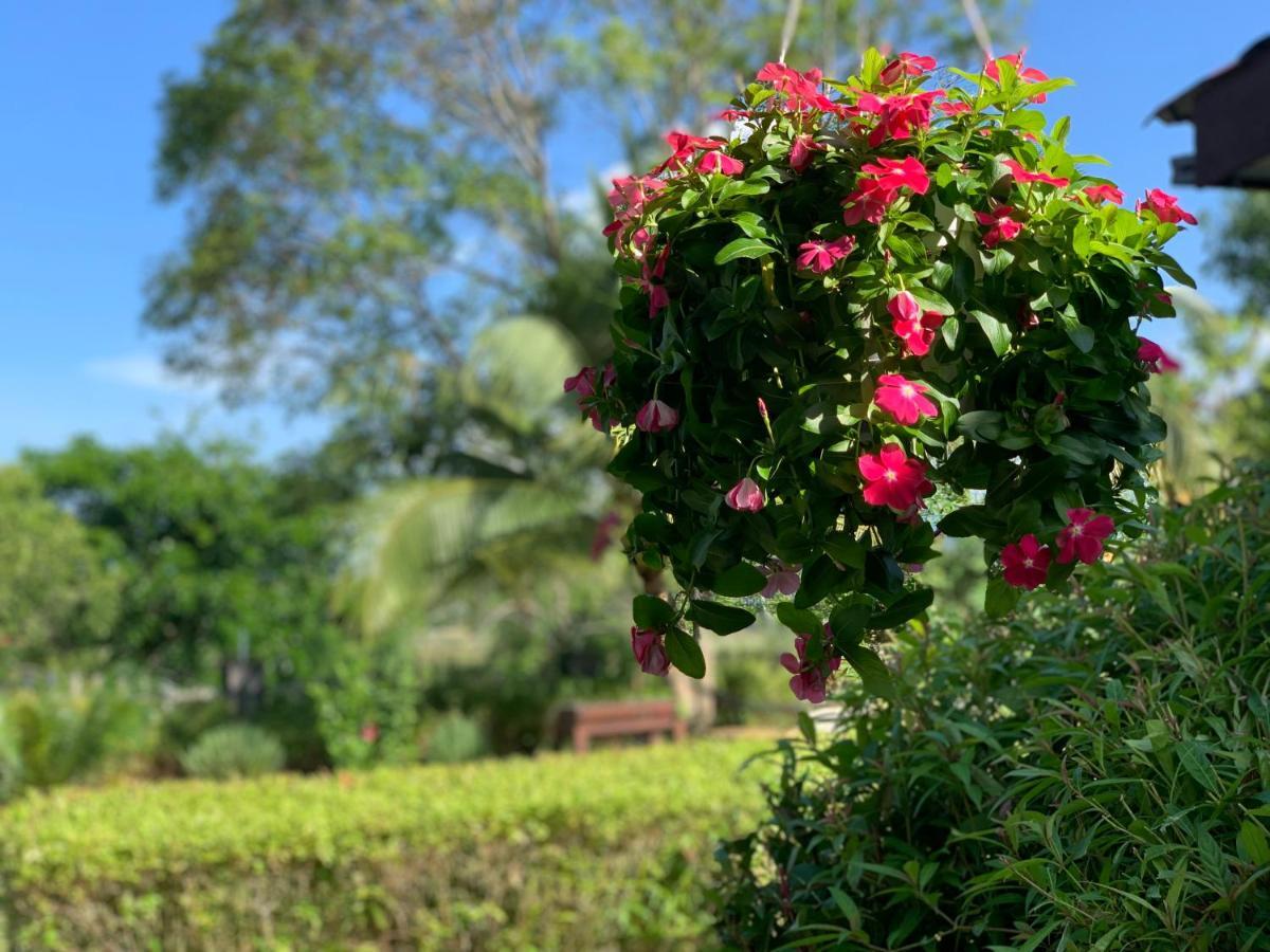 Lovely Garden Villas Pantai Cenang  Buitenkant foto
