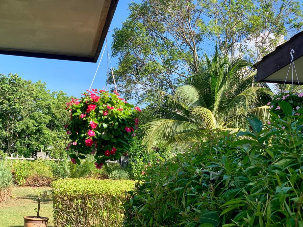 Lovely Garden Villas Pantai Cenang  Buitenkant foto